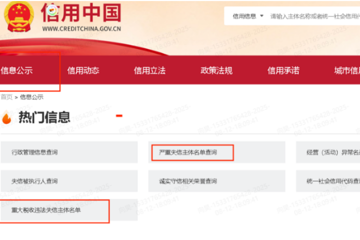 完整性检测仪项目比选公告